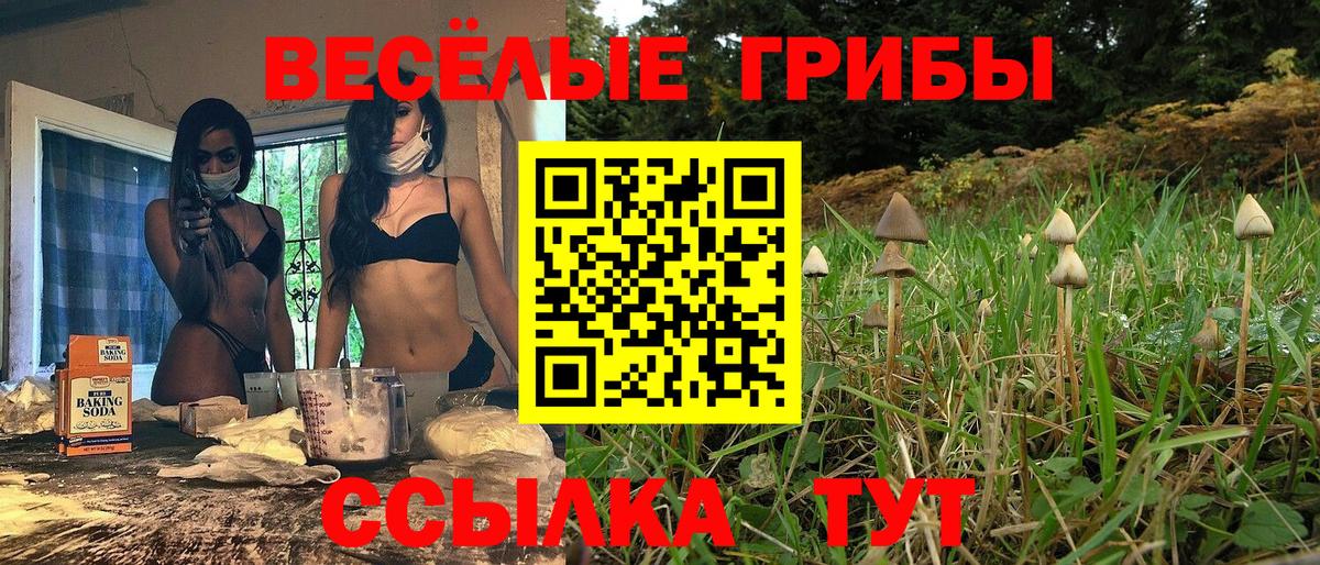 Псилоцибиновые грибы мухоморы  Вход с VPN  Усолье-Сибирское 